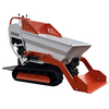 مینی دامپر خزنده کامیون انتقال هیدرولیک DW170F 500 کیلوگرم 